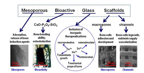  Bioactive Glass:  Revolutionary Material for Bone Regeneration and Tissue Engineering!